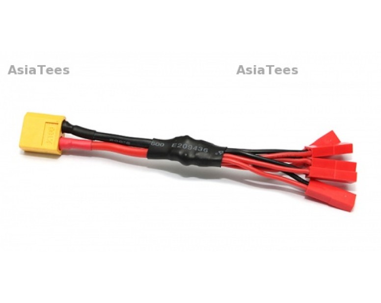 5 lead RC Multi Function Charger Cable -
